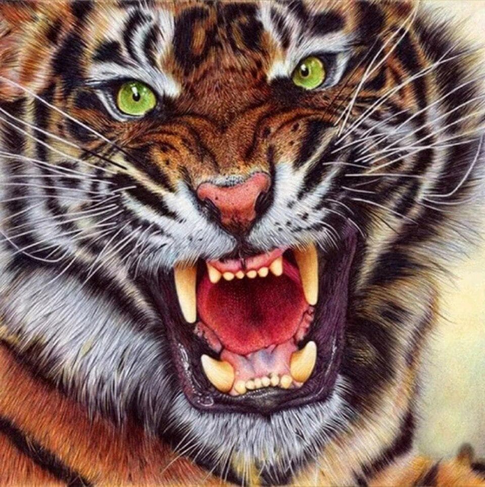 5D Diamond Painting Full Square Drill Christmas Gift Animal Mosaic Rhinestone Painting 30x30CM