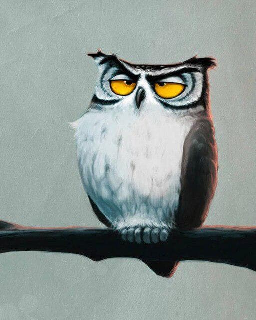 5d Diy Diamant Mosaic Diamond Embroidery Lovely Cartoon Owl Broderies Diamond Painting 20X30