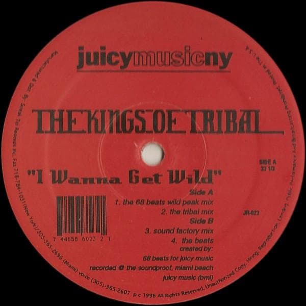 12inch Record KINGS OF TRIBAL I Wanna Get Wild JR023 JUICY RECORDS 1998 US Dance Electronica Used