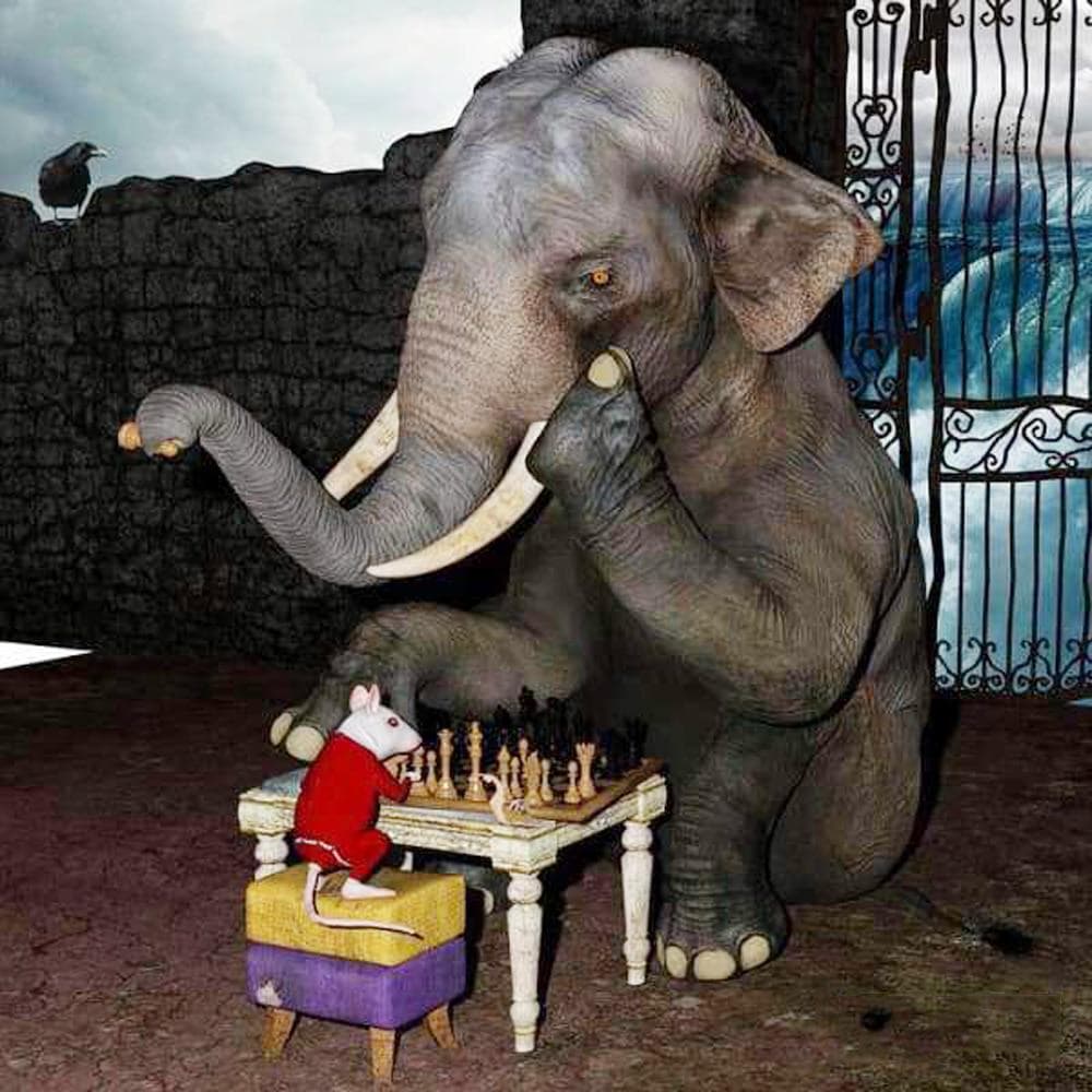 5d Diy Full Round Unlikely Chess Match Diamond Painting Elephant Full Drill Diamond Embroidery 30x30CM