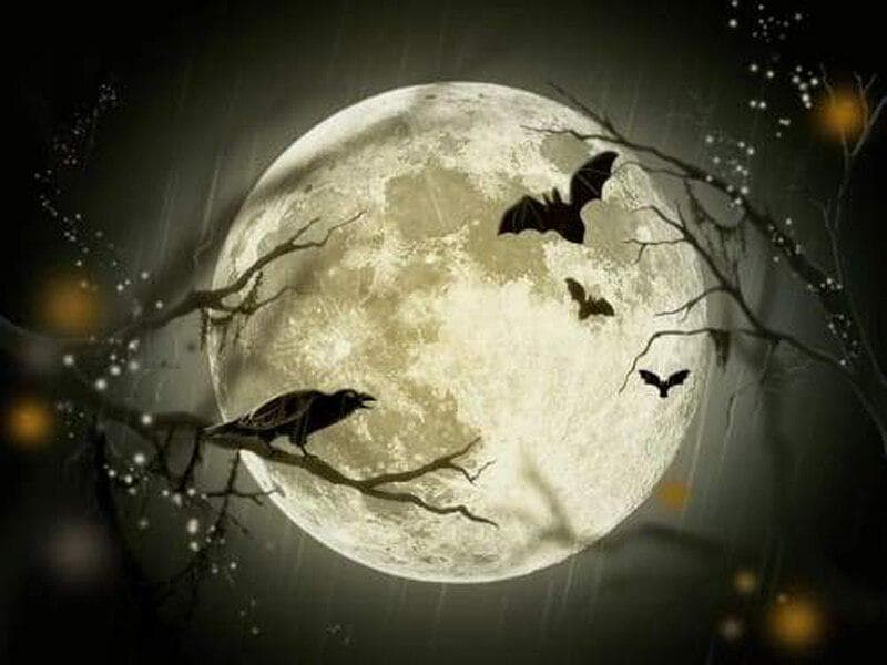 Embroidery Handicrafts Rhinestones Embroidery Full Moon On Halloween Diy Diamond Embroidery Painting 20X30CM