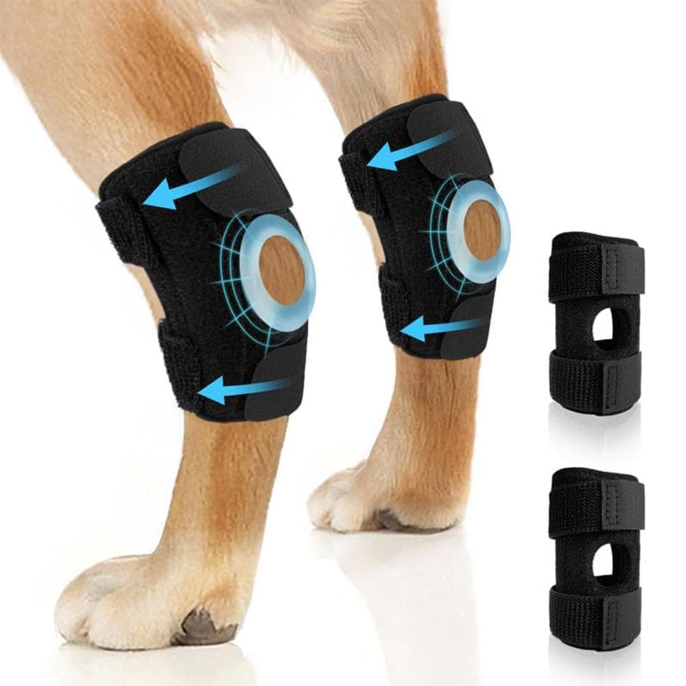 Dog Knee Brace Suitable for Recovery of Loss of Stability Caused by