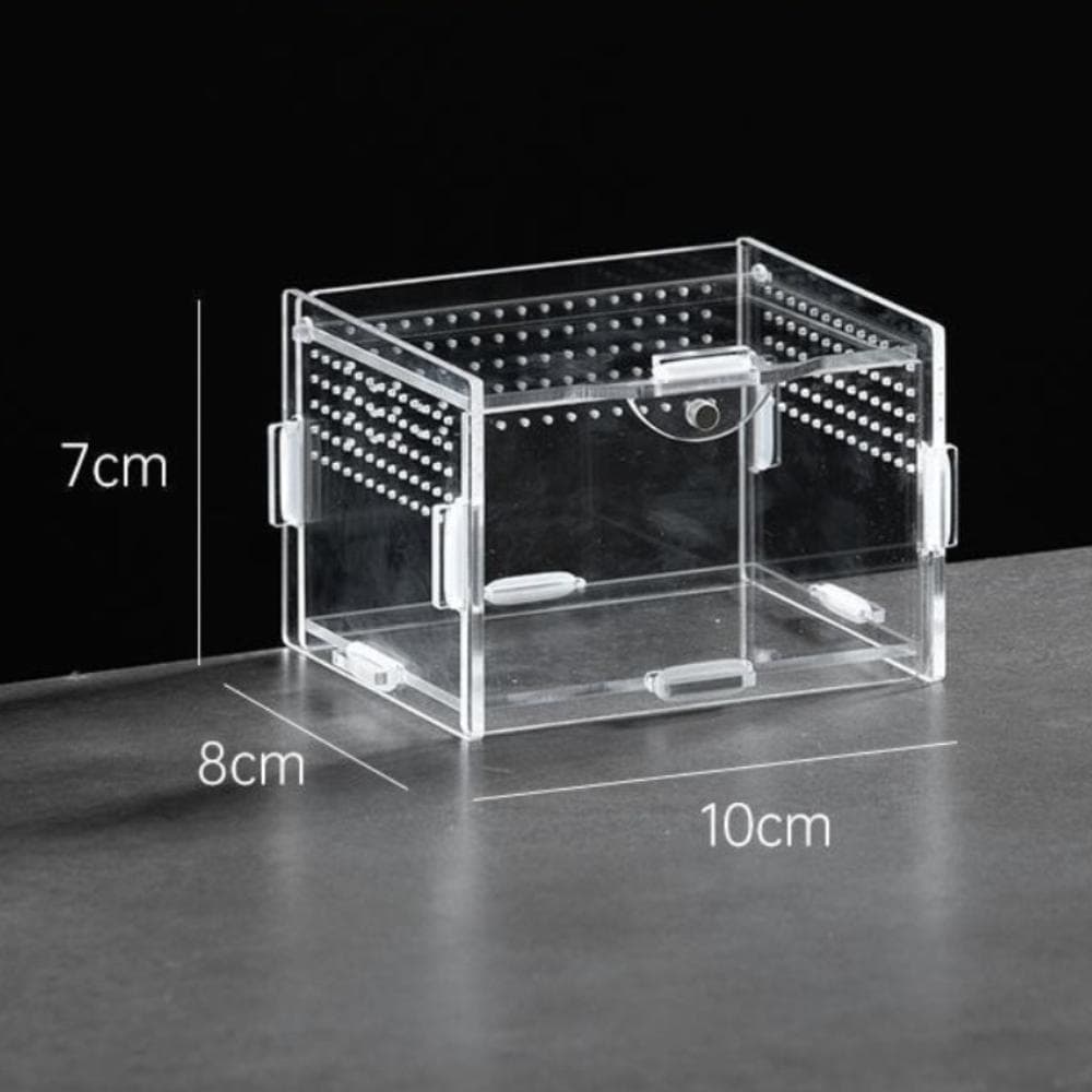 Acrylic Reptile Habitat Clear Spider Feeding Case Durable Lizard Breeding Box  for Scorpion 8X7X10cm-Horizontal