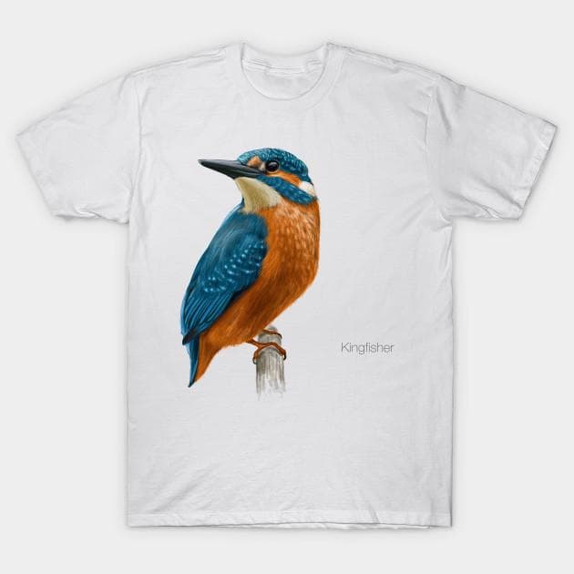 T Shirt Women Kingfisher Detailed Bird Illustration Harajuku Print Kawaii Tshirt Summer Short Sleeve Female T-Shirt Top Tee XL