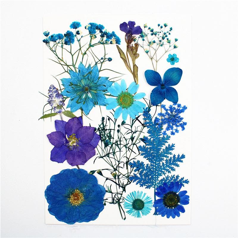 1Bag Dried Flowers UV Resin Filling DIY Epoxy Resin Mold Pendant Jewelry Decorative Natural Pressed Flower Art Floral Decors XYZ blue