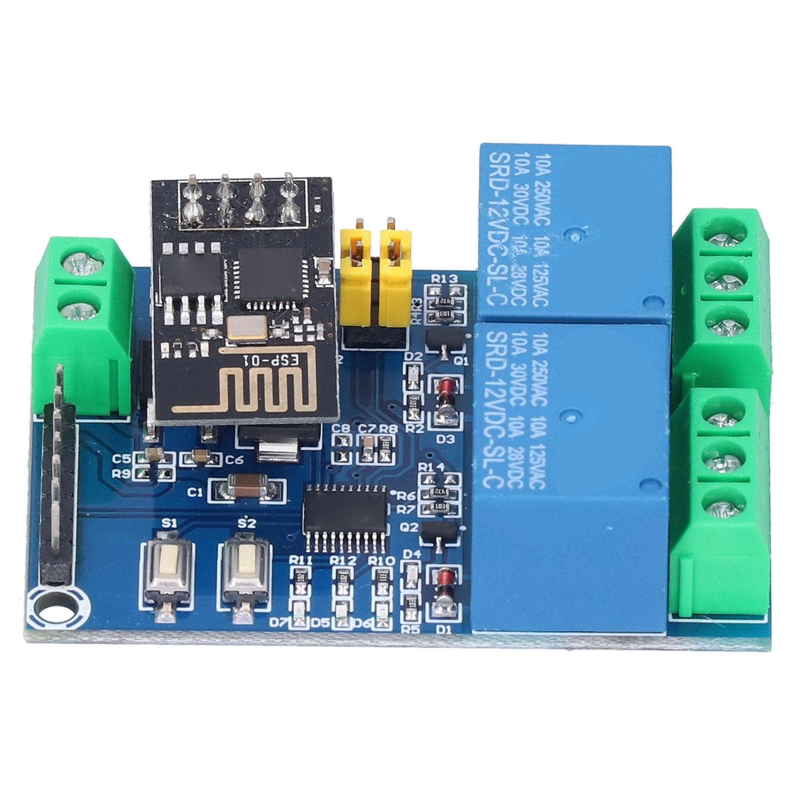 Dual Channel WiFi Relay 12V ESP8266 WiFi Relay Module Phone APP Remote Switch for IOT Smart Home