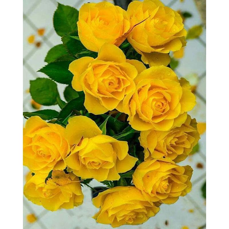 5D Diamond Painting Flower Yellow Roses Cross Stitch Diamond Embroidery 20X30CM