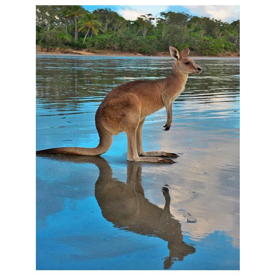 Full Round Diamond Painting animal kangaroo 5D Diy Diamond Embroidery 20X30CM