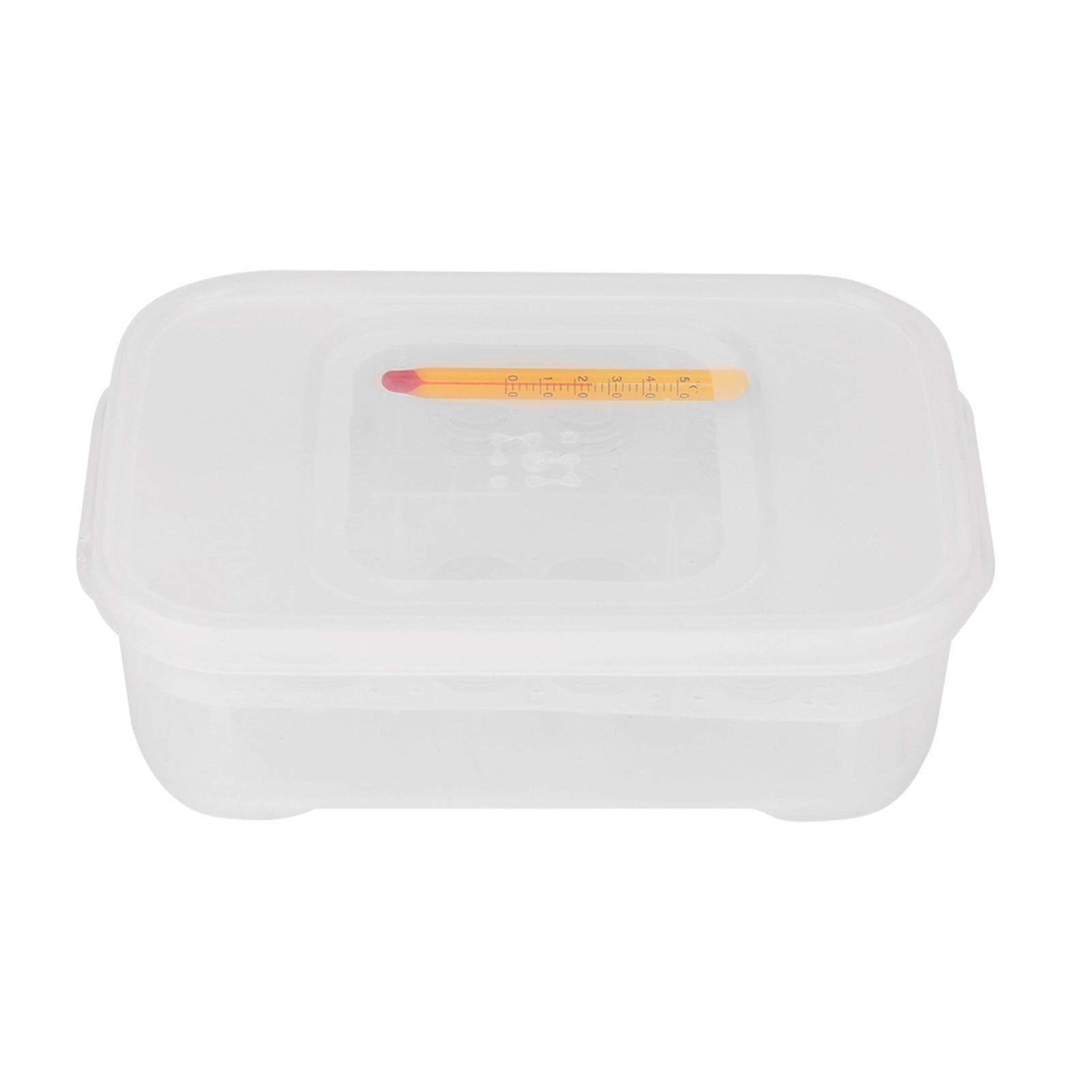 12 Grids Snakes Gecko Lizards Reptiles Eggs Incubator Tray Hatcher Box with Thermometer