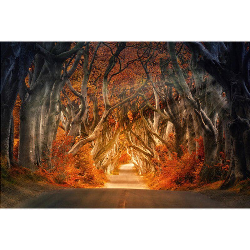 Full Drill DIY Diamond Embroidery Thicket Scenery Diamond Painting Cross Stitch 20X30CM