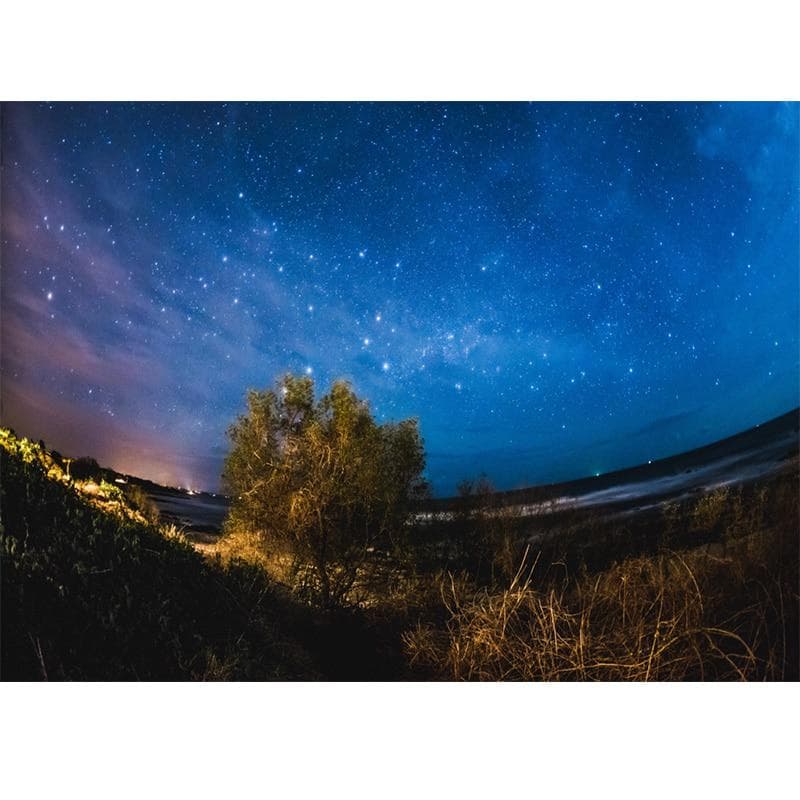 Diamond Embroidery Painting Cross Stitch Kits Wall Mosaic Grassland and Starry Sky Home Decor Gift 20X30CM