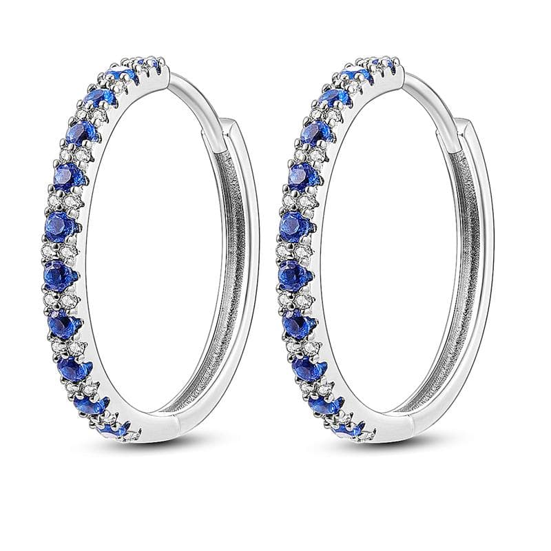 Hale SS925 Sterling Sliver Earrings Hoop Heart Family Tree Bow Blue Butterfly Earrings Fit  Earrings For Women