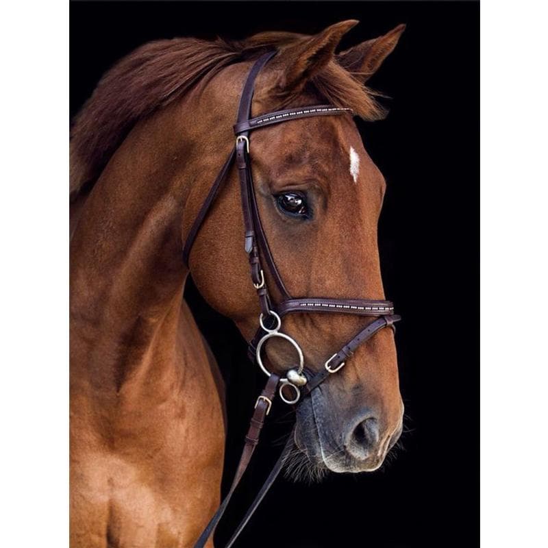 Diamond Painting Horse Home Decoration Mosaic Animal Embroidery Handmade Gift 20X30CM