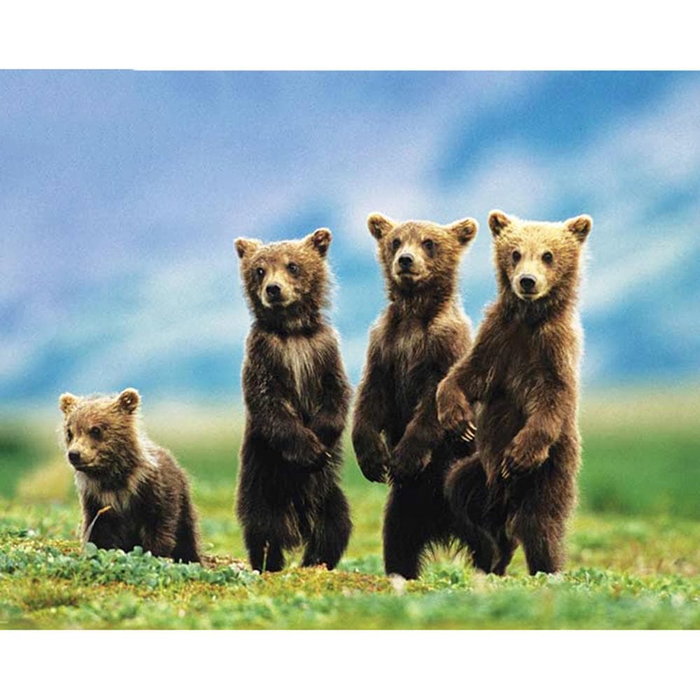 Home Decoration DIY 5D Diamond Embroidery  Four Lovely Brown Bear Baby  Full Diamond Cross Stitch 20X30CM