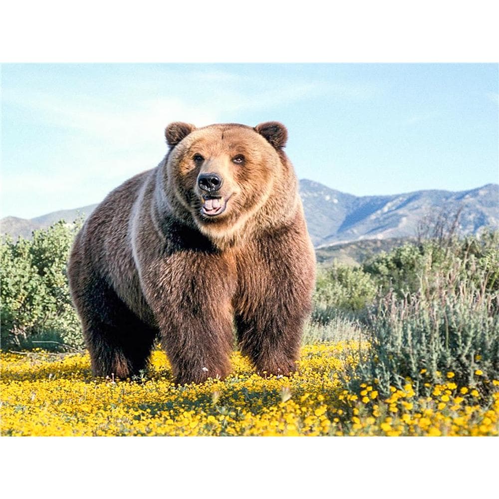 5D DIY Full round Diamond Painting Brown bear Embroidery Cross Stitch 20X30CM