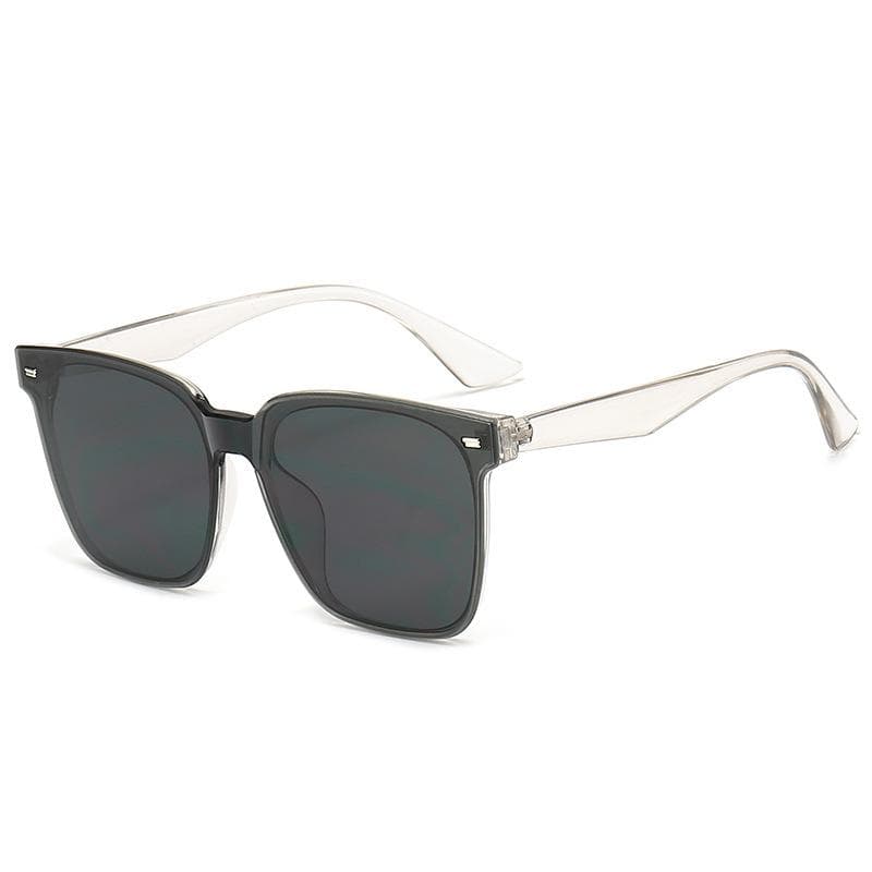 Senior UV Protective Sunglasses For Women Retro Style Integrated Lens Fashionable New Design