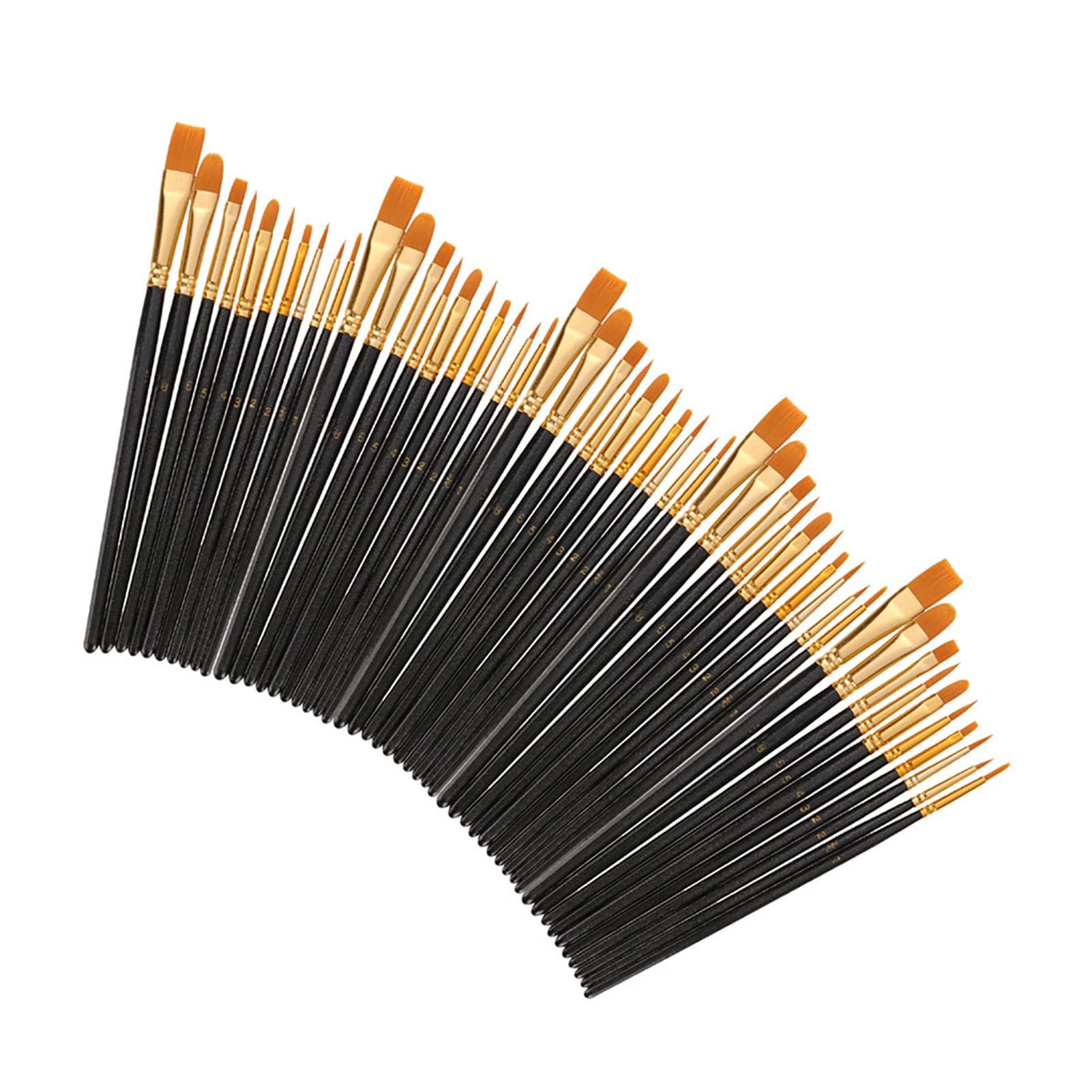 50 PCS Nylon Hair Paint Brushes Set Artist Paintbrush Lot Multiple Mediums Brushes for Watercolor Pack of 50 black