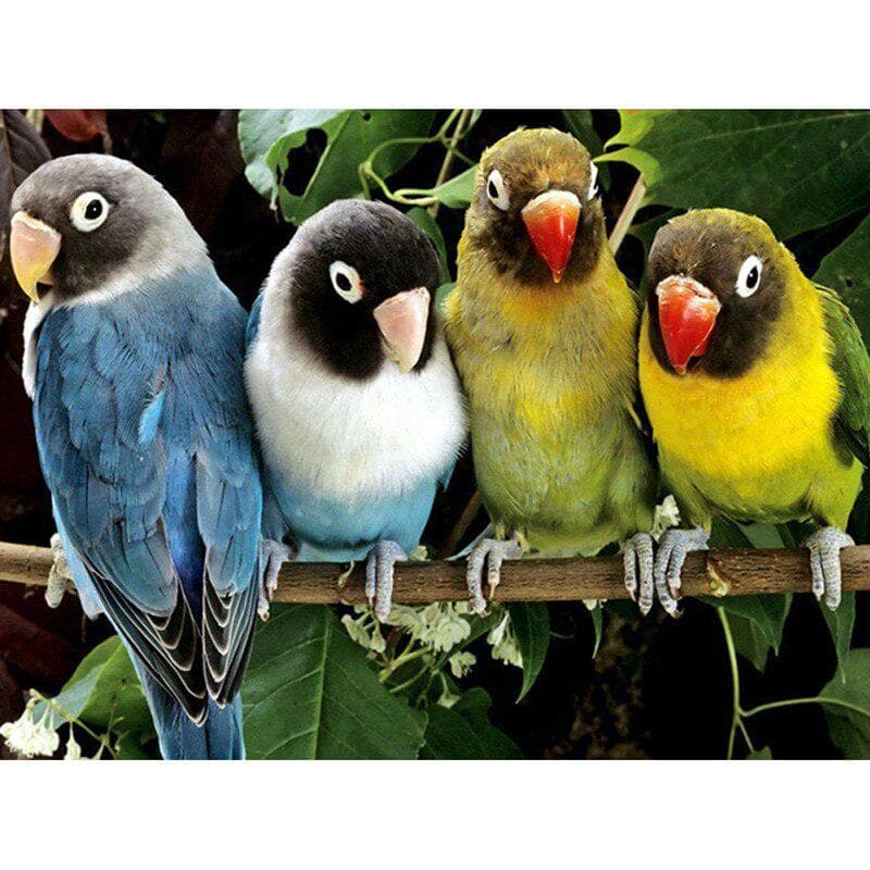 Full Round 5D DIY Diamond Embroidery 4 Parrots on Tree Diamond Painting Cross Stitch Rhinestone 20X30CM