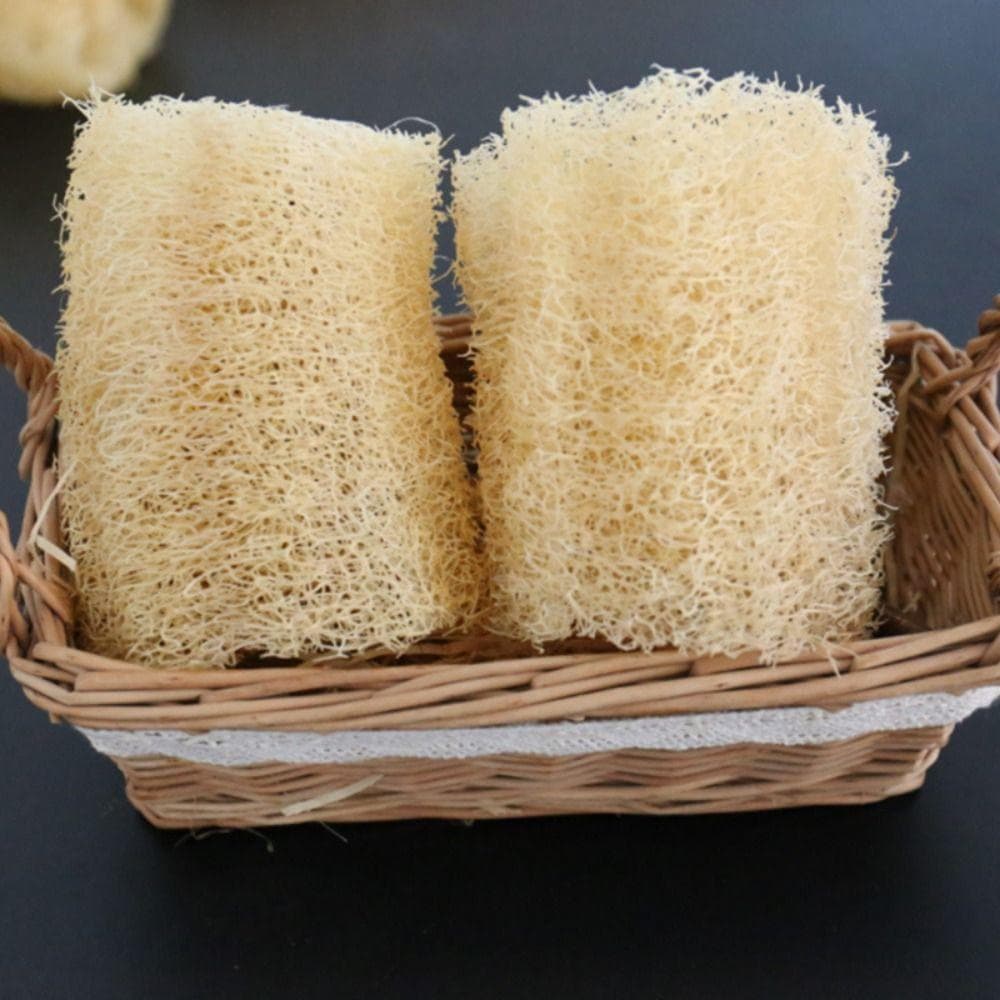 Natural Loofah Luffa Sponge Non-stick Pot Brush Strong Cleaning Body Shower Sponge Bath Kitchen 10cm