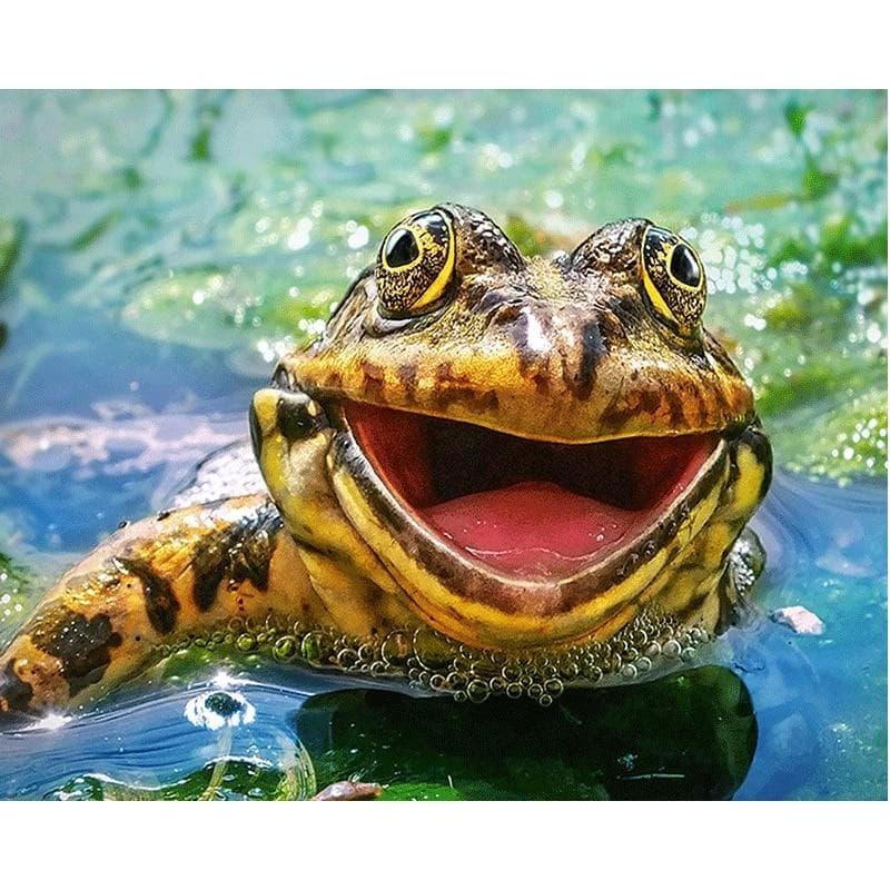 DIY 5D Diamond Painting Cross Stitch a lovely frog Diamond Embroidery Needlework Patterns 20X30CM