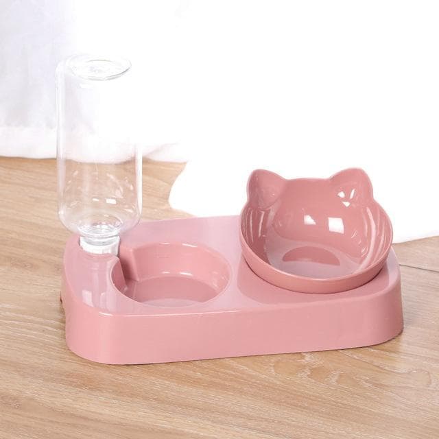 Elevated Double Cat Dog Bowls Pet Food and Water Bowl with 15°Tilted Raised for Cats Small Dogs and Other Small Animals pink