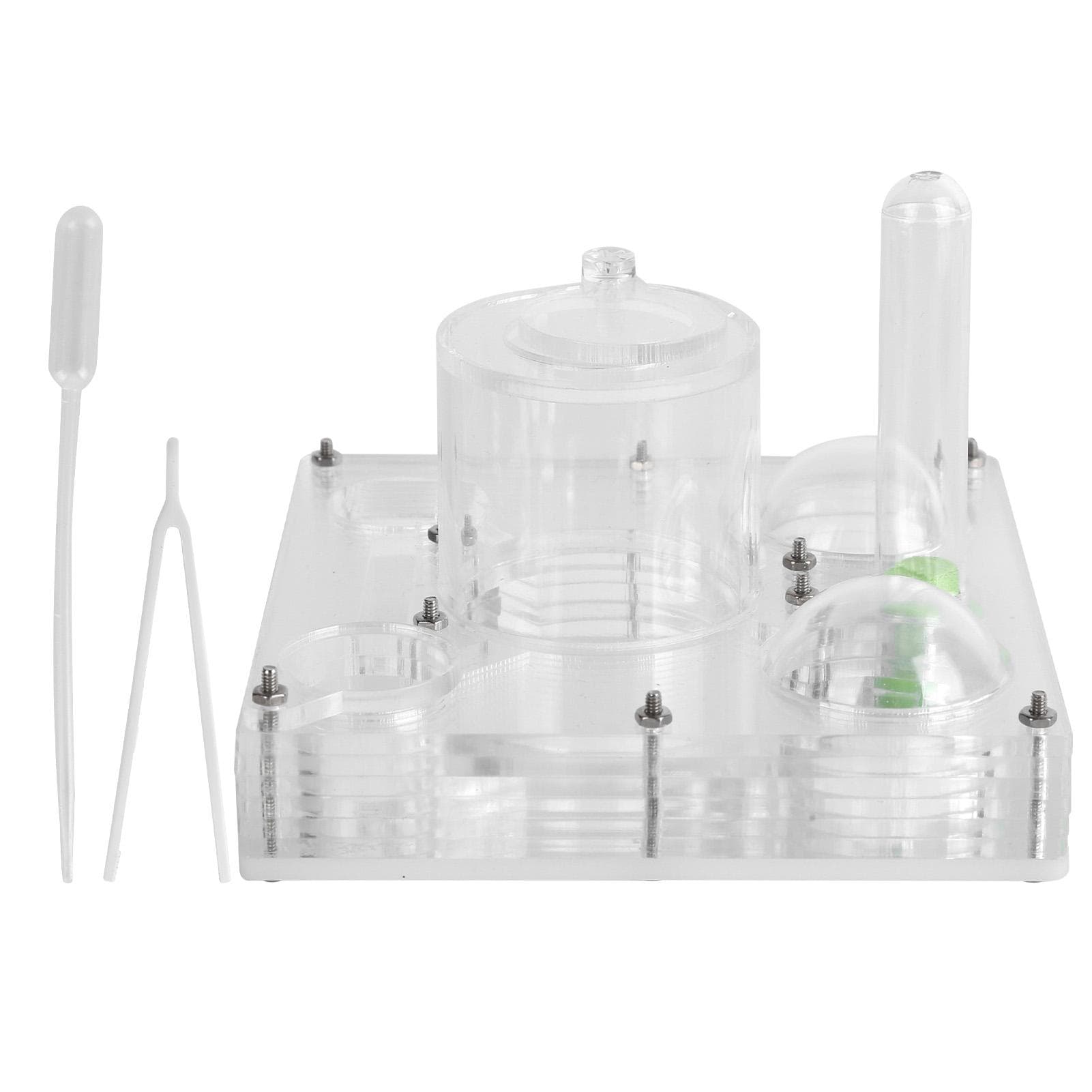 Acrylic Ant Breeding Box Transparent Watching Feeding Case Ants House Toy for Children