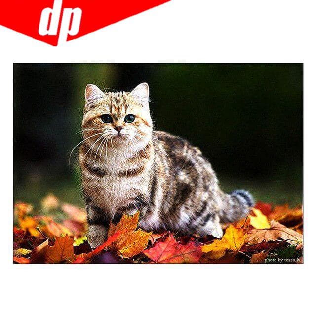 Cat Diamond Embroidery 5D DIY Diamond Painting Cross Stitch Picture Full Round Diamond 20X30