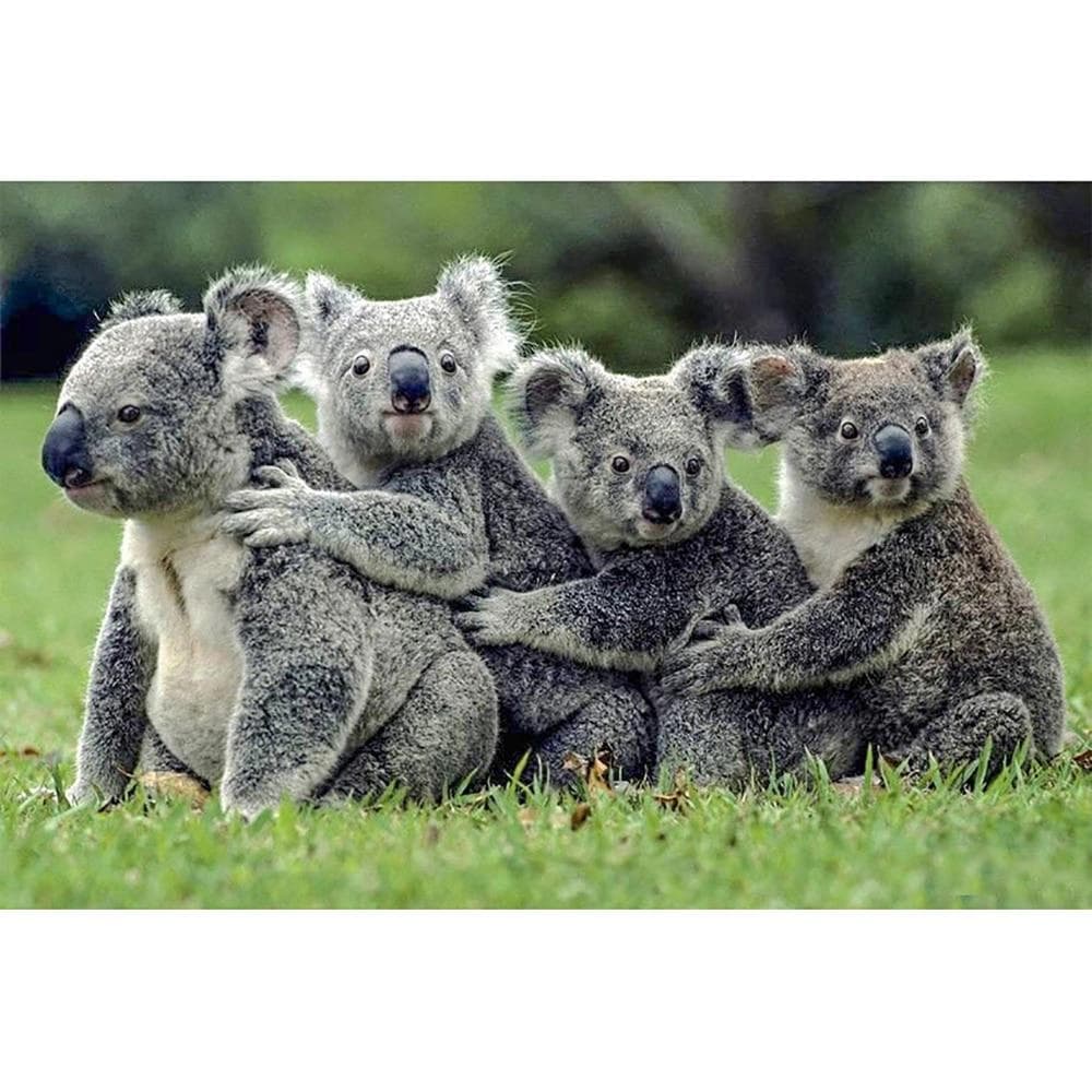 5D DIY Diamond Painting Koala Embroidery Cross Stitch Rhinestone Mosaic Home Decor 20X30CM