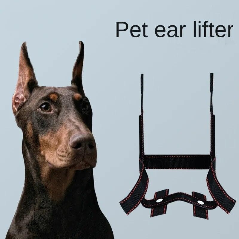 Dog Ear Stand Ear Correction Fixation Tool Doberman German Shepherd Vertical Ear Dedicated Dog Accessories Dog Ear Lifter M