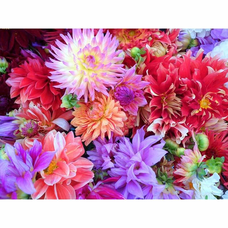 Full Round Drill Diamond Embroidery Flowers 5D Diamond Painting Cross Stitch Rhinestone Mosaic Decor 20X30CM