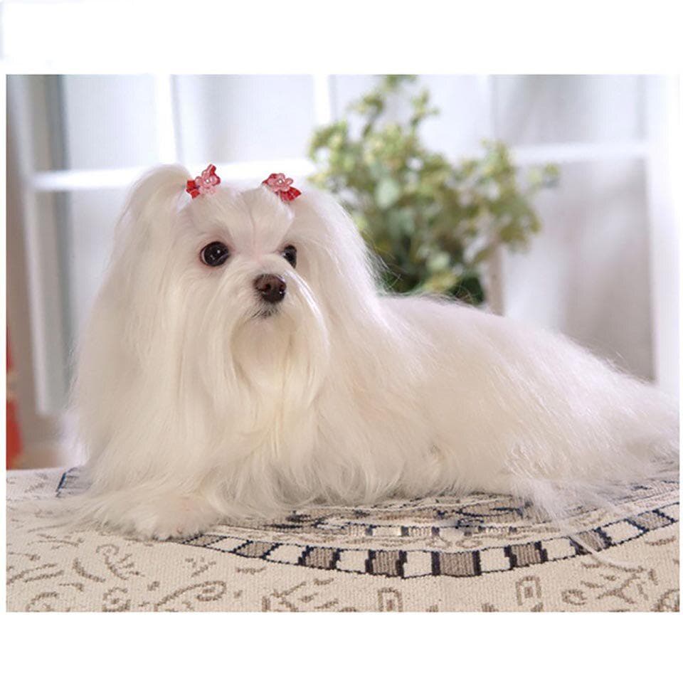 Cross Stitch DIY Painting 5D Diamond Home Decor Animal Dog Lovely Picture Embroidery 20X30CM