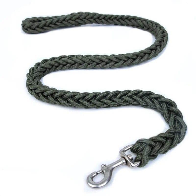Nylon Dog Harness Leashes For Medium Dogs Leads Pet Training Running Walking Safety Dog Leashes Ropes Pet Supplies green
