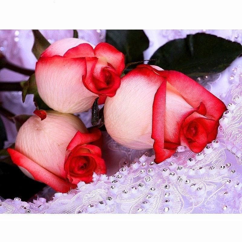 5D DIY Diamond Painting Red Rose Embroidery Mosaic Cross Stitch Rhinestone Decor 20X30CM