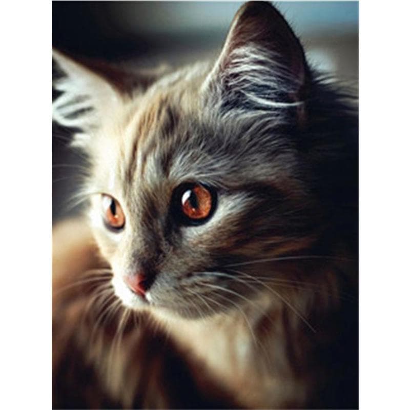 Diamond Painting Cat 5D Diy Diamond Embroidery Animal Mosaic Picture Of Rhinestone Home Decoration 20X30CM