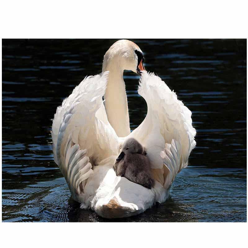 5D Diy Diamond Painting Swan and Baby Swan Diamond Embroidery Wedding Decoration 20X30CM
