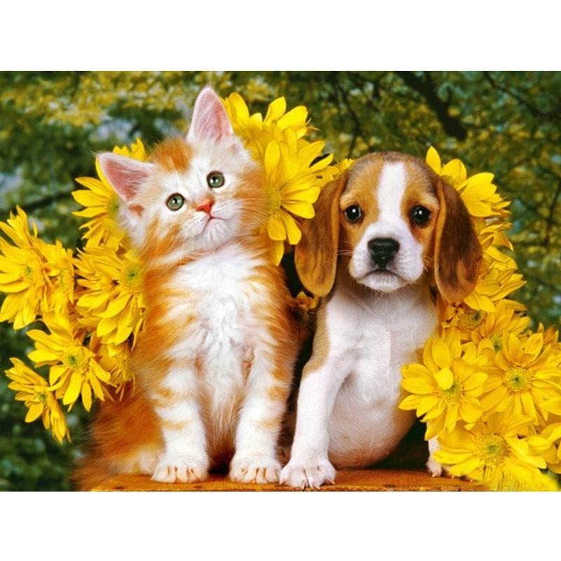 DIY Diamond Painting Cat&Dog Diamond Embroidery Art Painting Animal Picture Cross Stitch Home Decor 20X30CM
