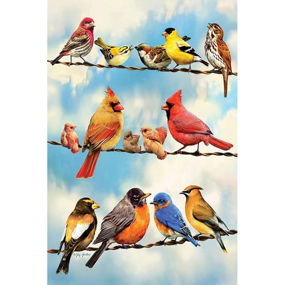 5D DIY Diamond Painting All kinds of birds Embroidery Cross Stitch Rhinestone Mosaic Home Decor 20X30CM
