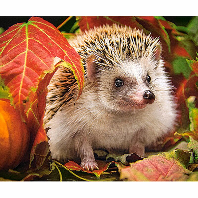 Diamond Painting Animal Hedgehog Diamond Embroidery Animal Cross Stitch Rhinestone Home Decoration 20X30CM