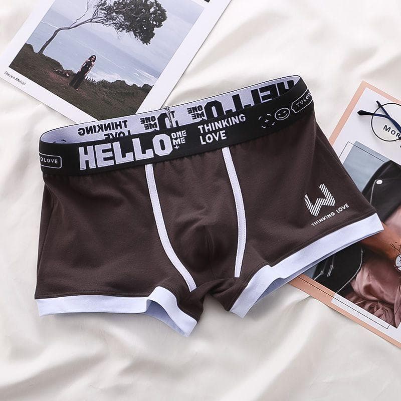 Sexy Plus Size Cuecas Calzoncillos Men Panties Cotton BoxerShorts Man Underwear Mens Boxers Breathable U Convex Male Underpants XXL