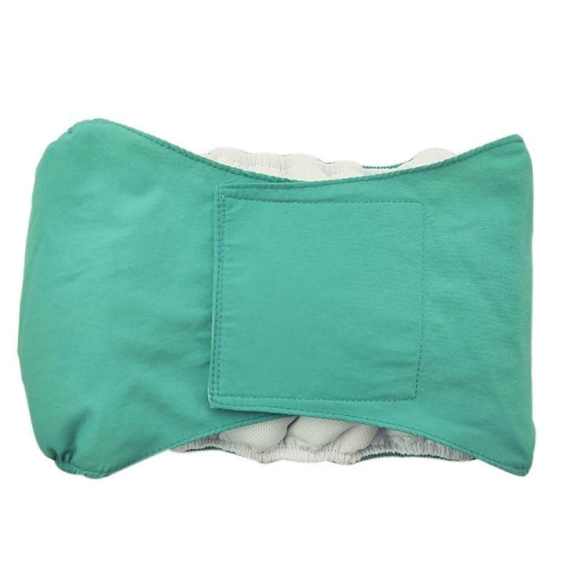 Pet Panties Washable Waterproof Adult Male Dog Diapers for Medium Dogs M green