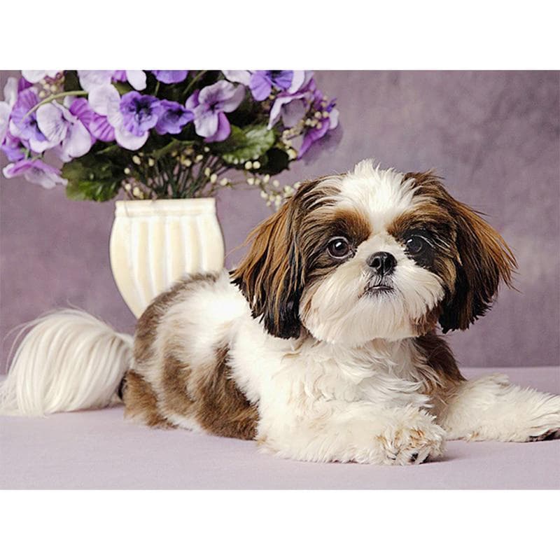 Diy 5D Diamond Painting Animals Dog Photo Diamond Embroidery Animals Home Decor Gift 20X30CM