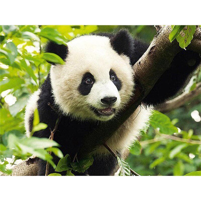 DIY 5D Diamond Painting Panda Full Round Drill Animal Mosaic Diamond Embroidery Cross Stitch 20X30CM