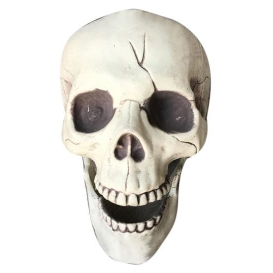 Creepy Plastic Open Mouth Skull Skeleton Haunted House Decor Halloween Prop white