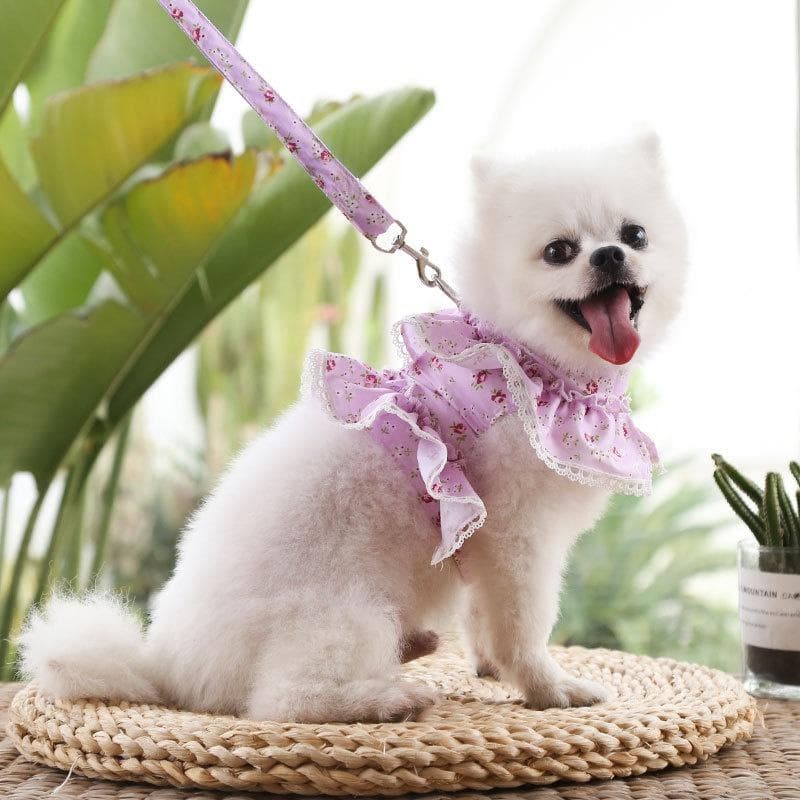Leash for Small Dogs Dog Vest Harness and Leash Set Breathable Nylon Small Dog Harness and Leads for Chihuahua Yorkshire Teddy with Blet L(5-7.5kg) purple