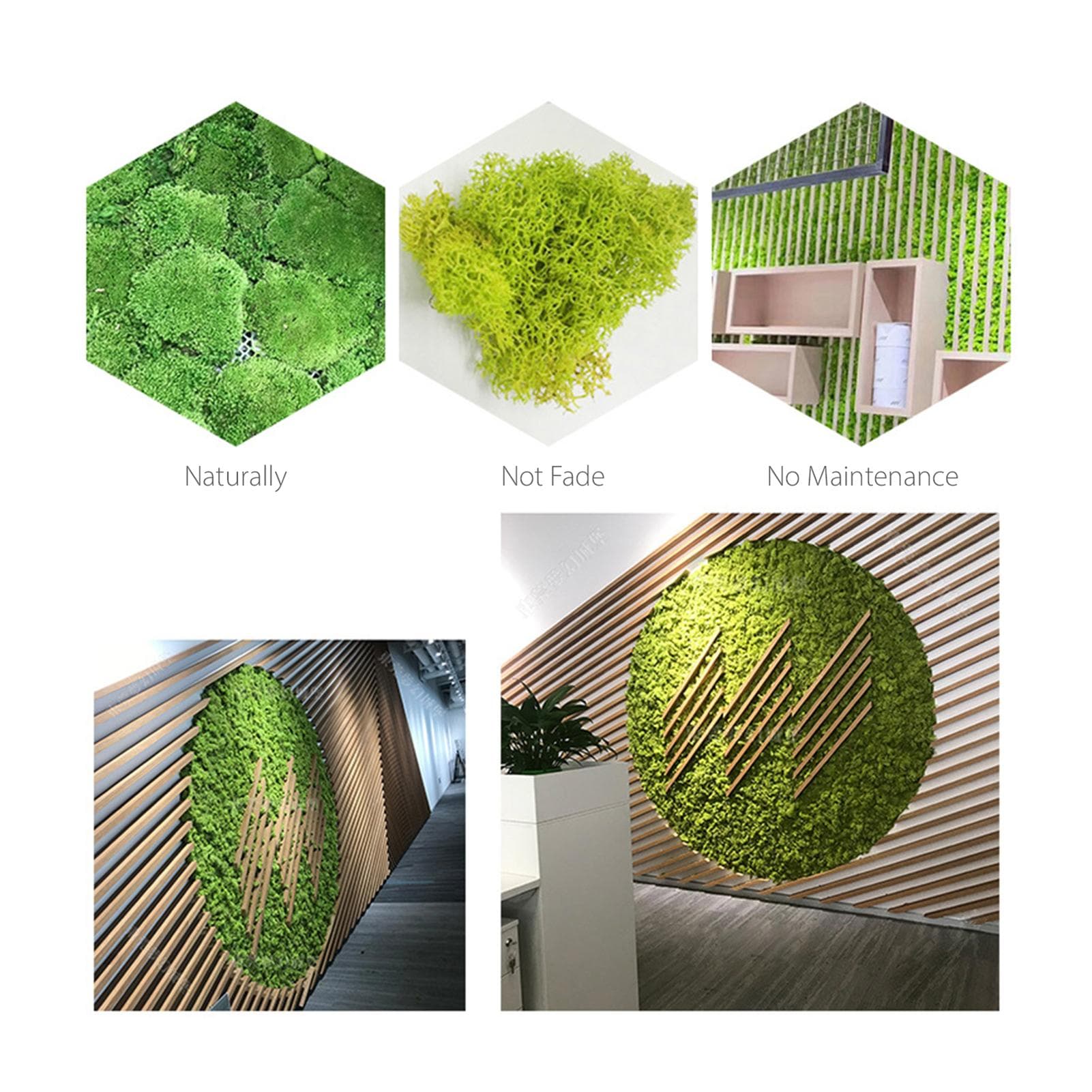 Preserved Moss Gardenning Art Wall Decor Moss Bulk Micro Landscape Decorative Props Type 1
