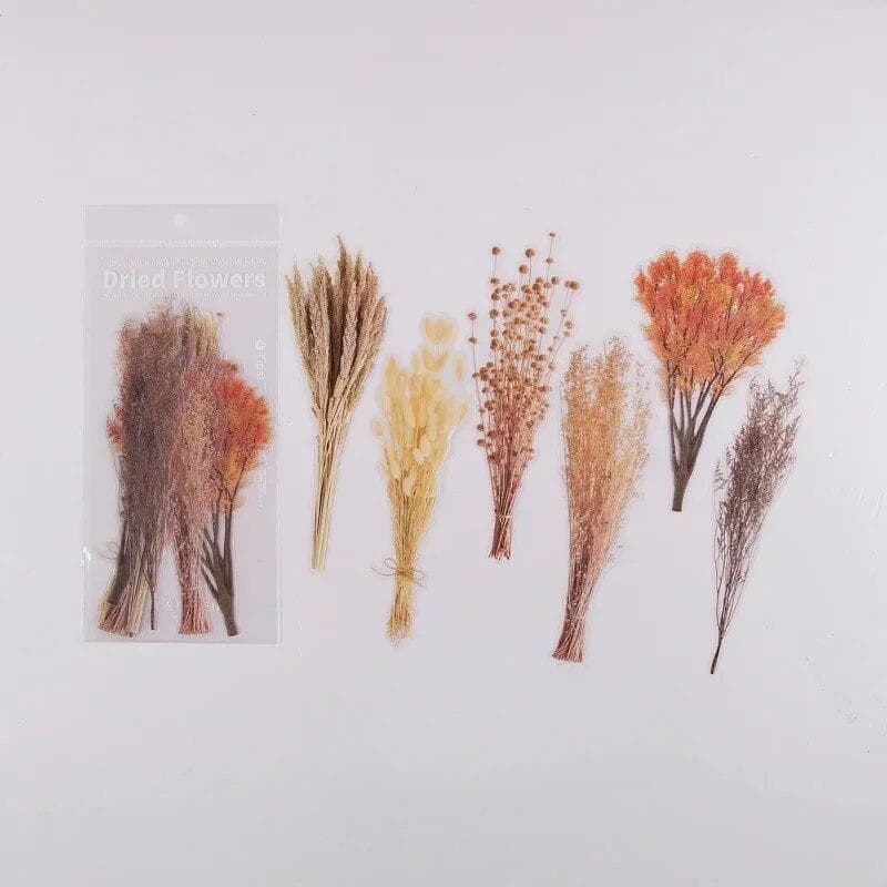 6pcs/lot Vintage Dried Flower PET Sticker Decorative Diary Craft Scrapbook Planner Journal Aesthetic Stationery