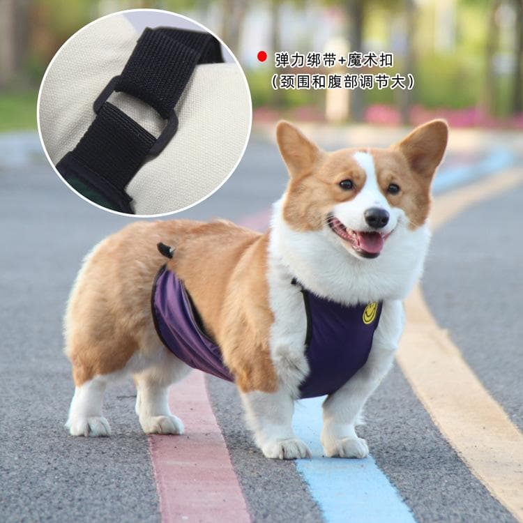 Pet it Corgi dog bellyband waterproof and anti-dirty pet clothes outdoor solid color pet bib for xs