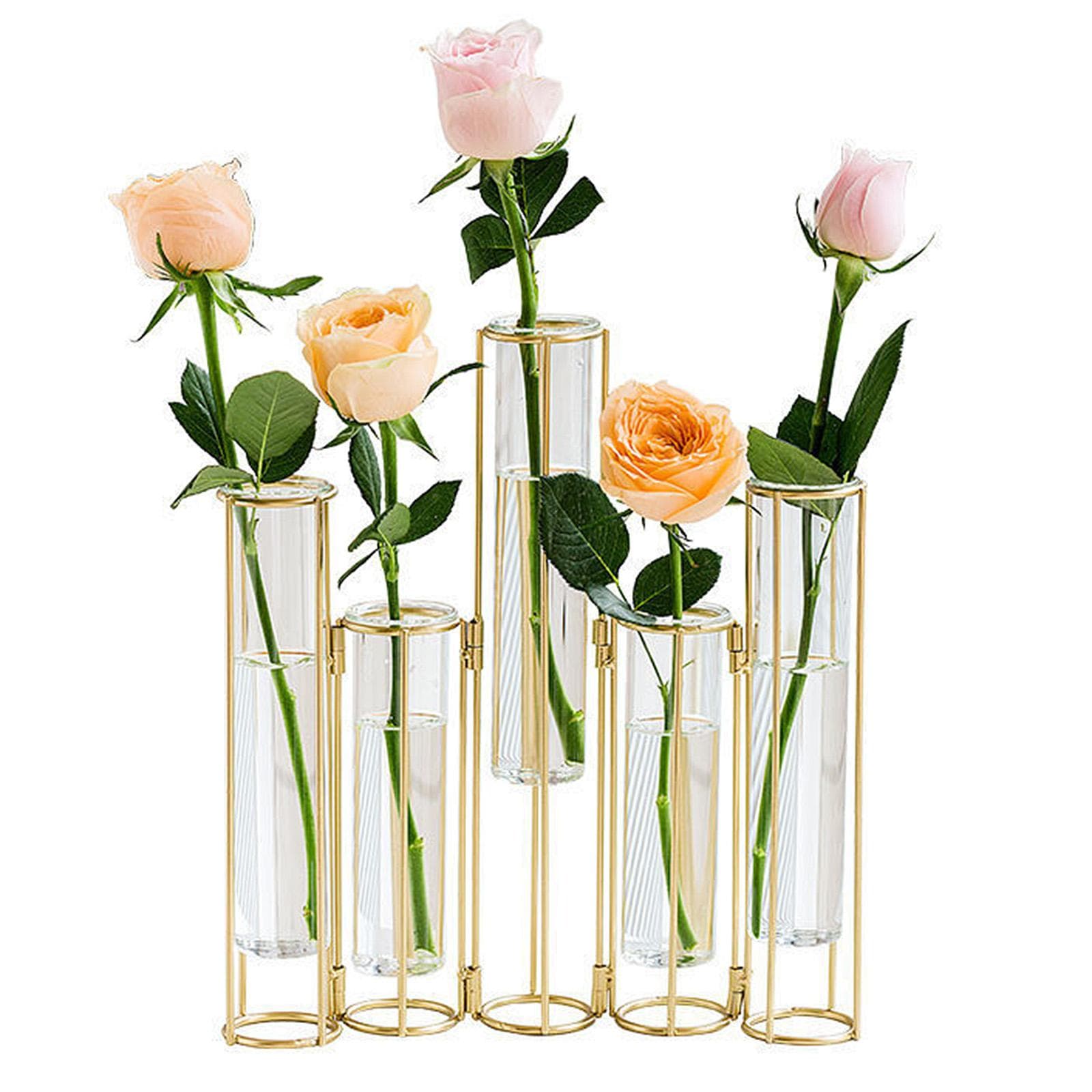 Test Tube Vase Nordic Transparent Glass Vase European Living Room Dried Flower Decorative Ornament