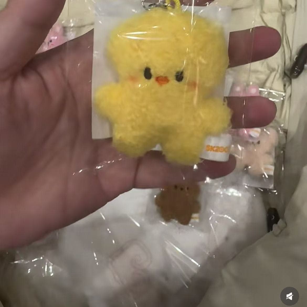 New 32 styles Stray kids 10cm high plush toy keychain decoration pendant SKZOO kawaii bag decoration soft touch cute animal doll BbokAri