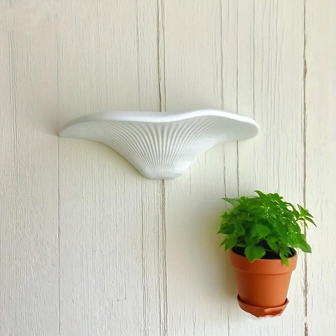 Mushroom Wall Hanging Rack, Cute Mushroom Decor Storage Rack, Fantasy Mushroom Shelf, Room Wall Decor, Home Decoration Display Rack Single-layer Mushroom multicolour